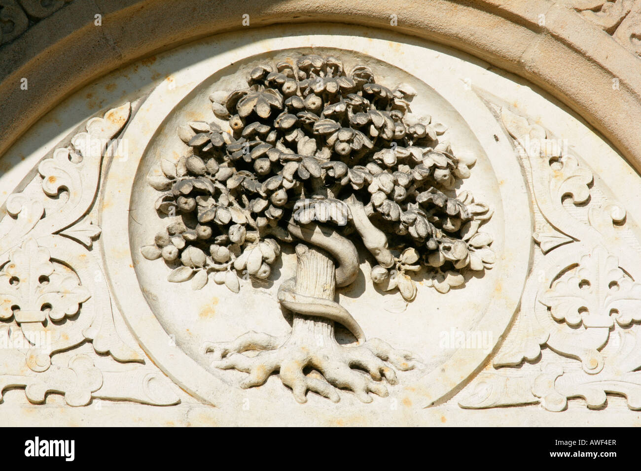 Archway featuring apple tree with snake motif, St. Johannes Chapel, Muehldorf am Inn, Upper Bavaria, Bavaria, Germany, Europe Stock Photo