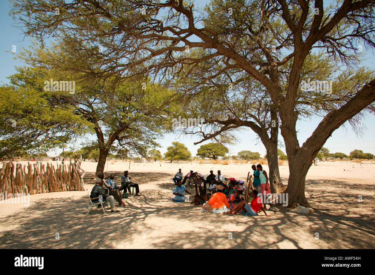 Community gathering under village tree, Sehitwa, Botswana, Africa Stock Photo