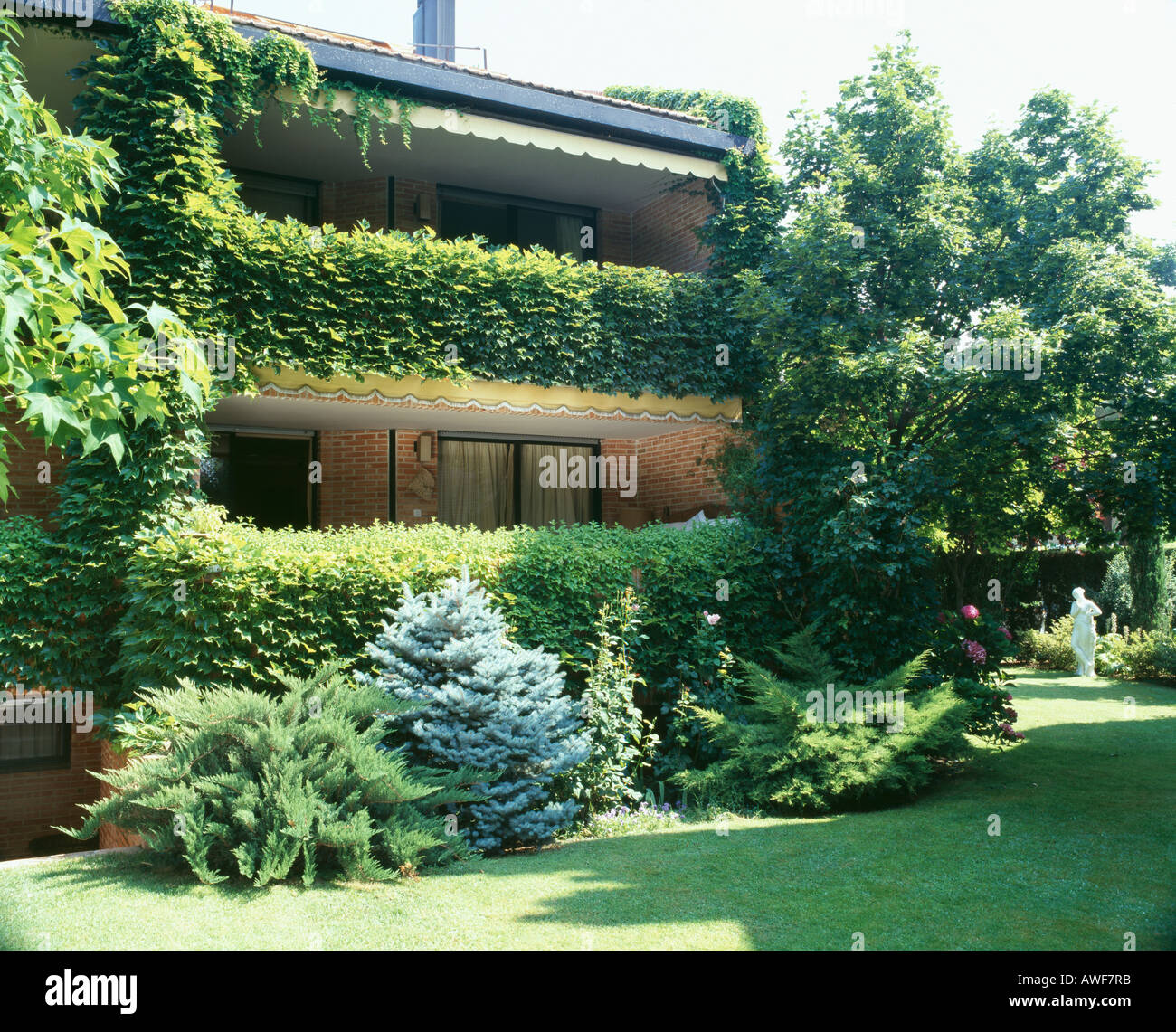 Low brick built house with ivy covered balconies in a sunny garden with lawns and dwarf conifers Stock Photo
