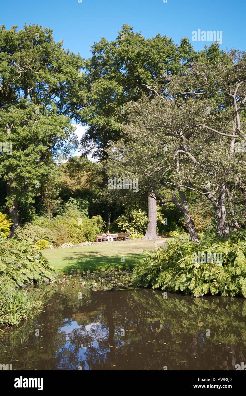 Savill Garden, Windsor Great Park, Windsor, UK Stock Photo Alamy