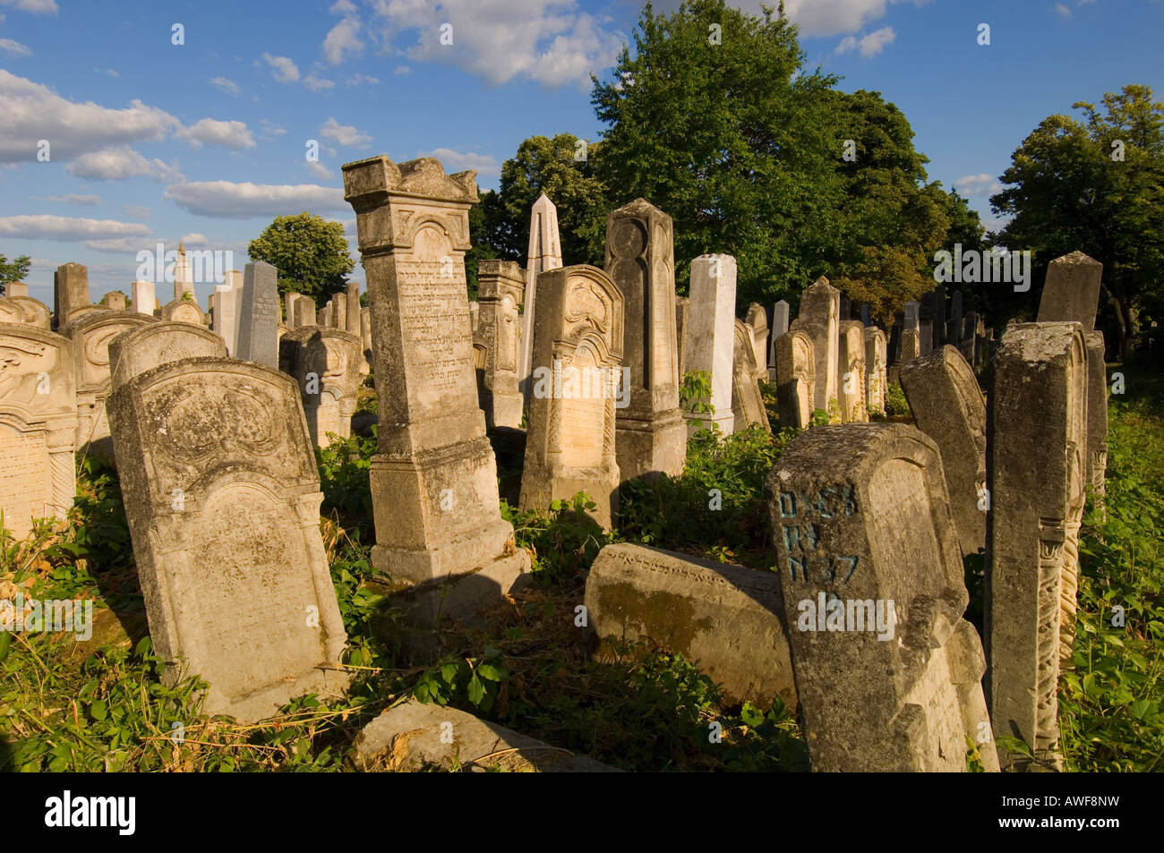 Europe Romania Moldavia Iasi Jewish Cemetery Stock Photo