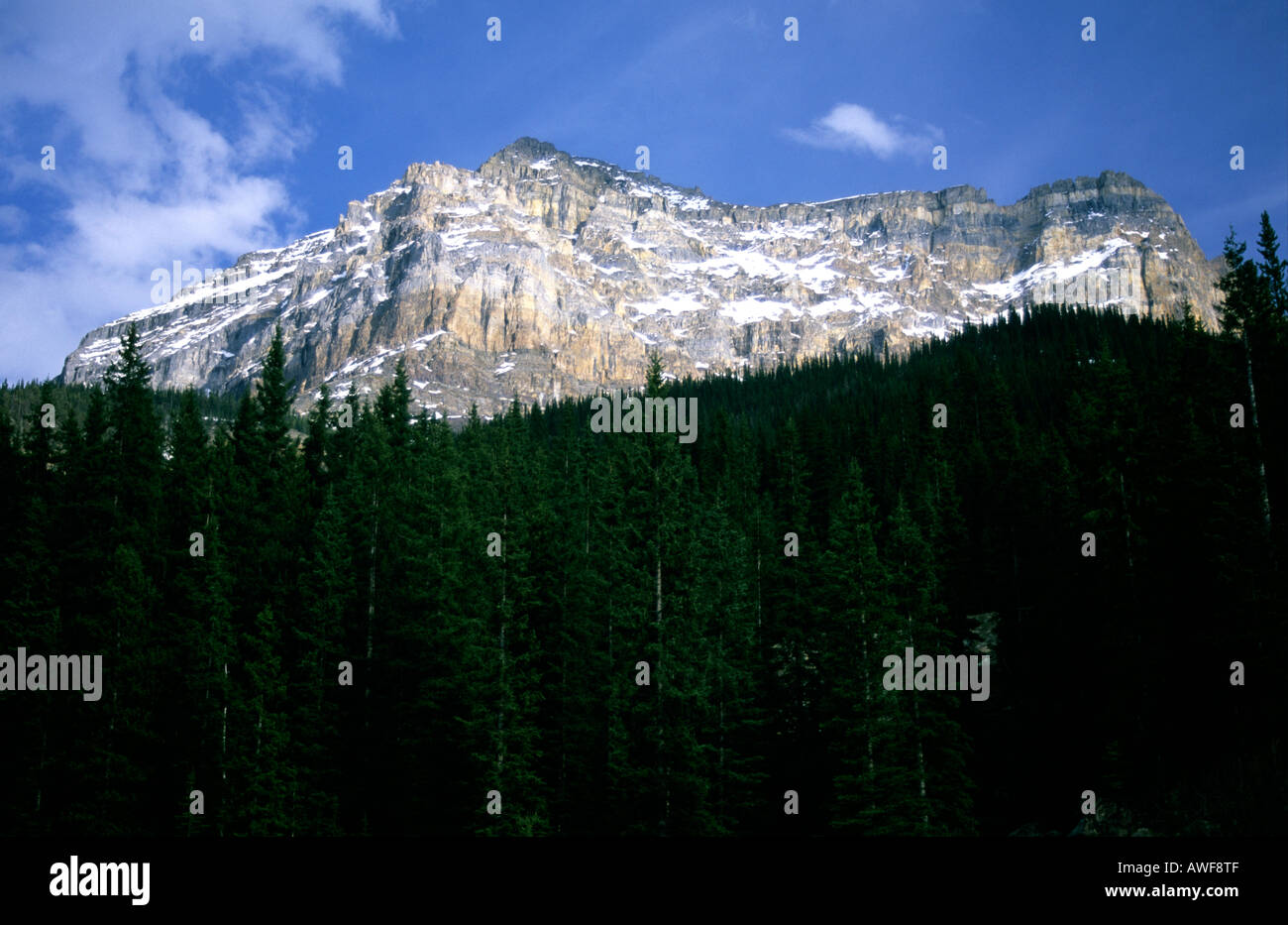 Cathedral Mountain, Yoho National Park, Canada Stock Photo