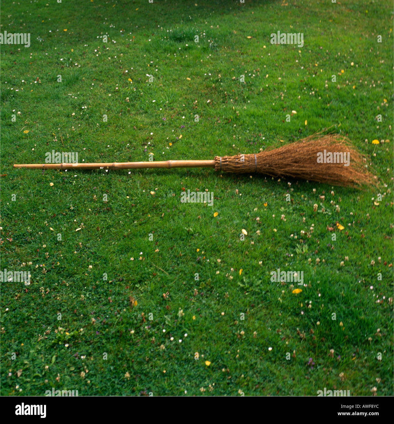 Broomstick hires stock photography and images Alamy