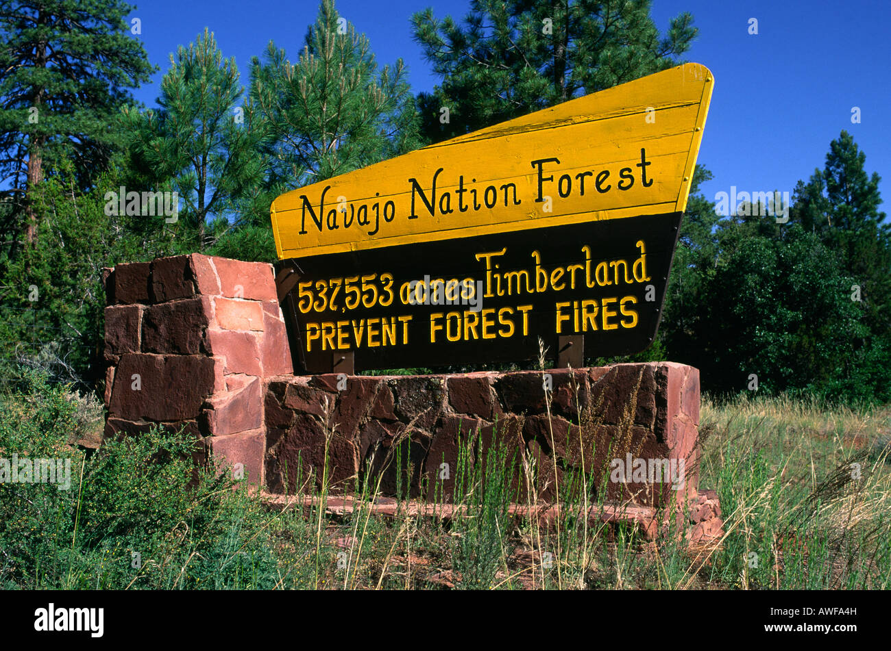 Navajo Nation Forest Arizona Stock Photo