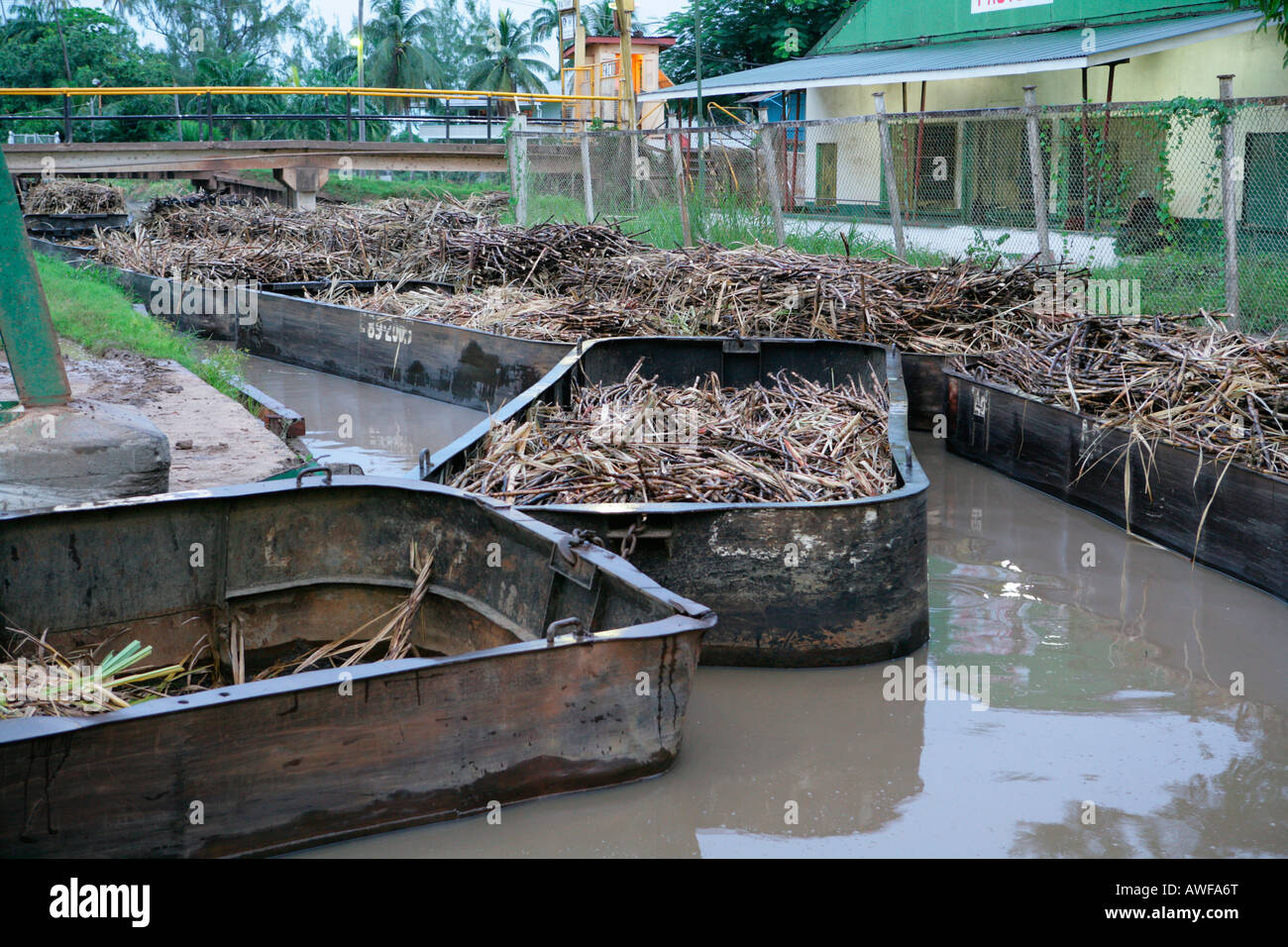 Barges used for the transportation of sugar cane, Demerara Province