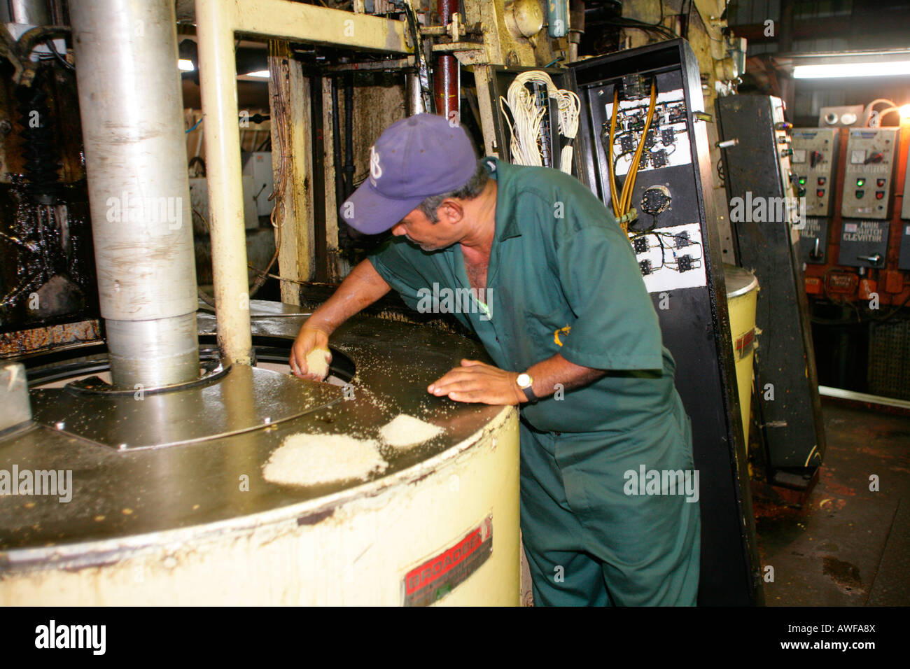 Worker checking sugar, production of 'Demerara sugar' made from sugar cane, Demerara Province, Guyana, South America Stock Photo