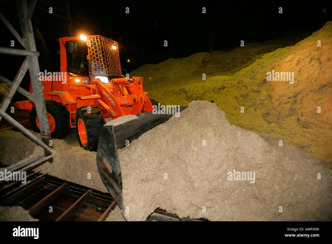 Excavator loading waste from sugar cane production, Demerara Province, Guyana, South America Stock Photo