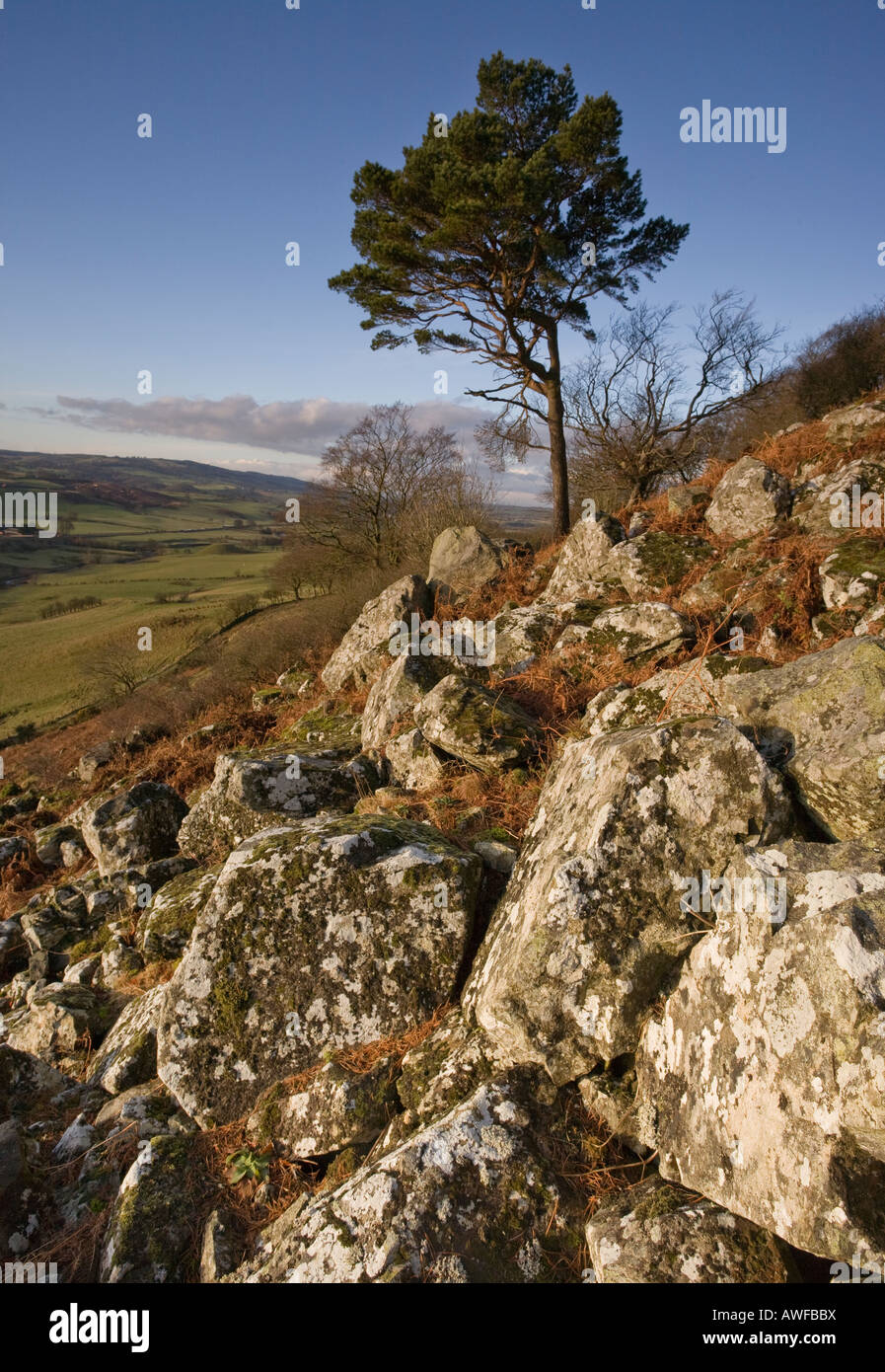 Loudoun HIll, a volcanic plug, in Ayrshire, Scotland, The site of several important historical battles Stock Photo