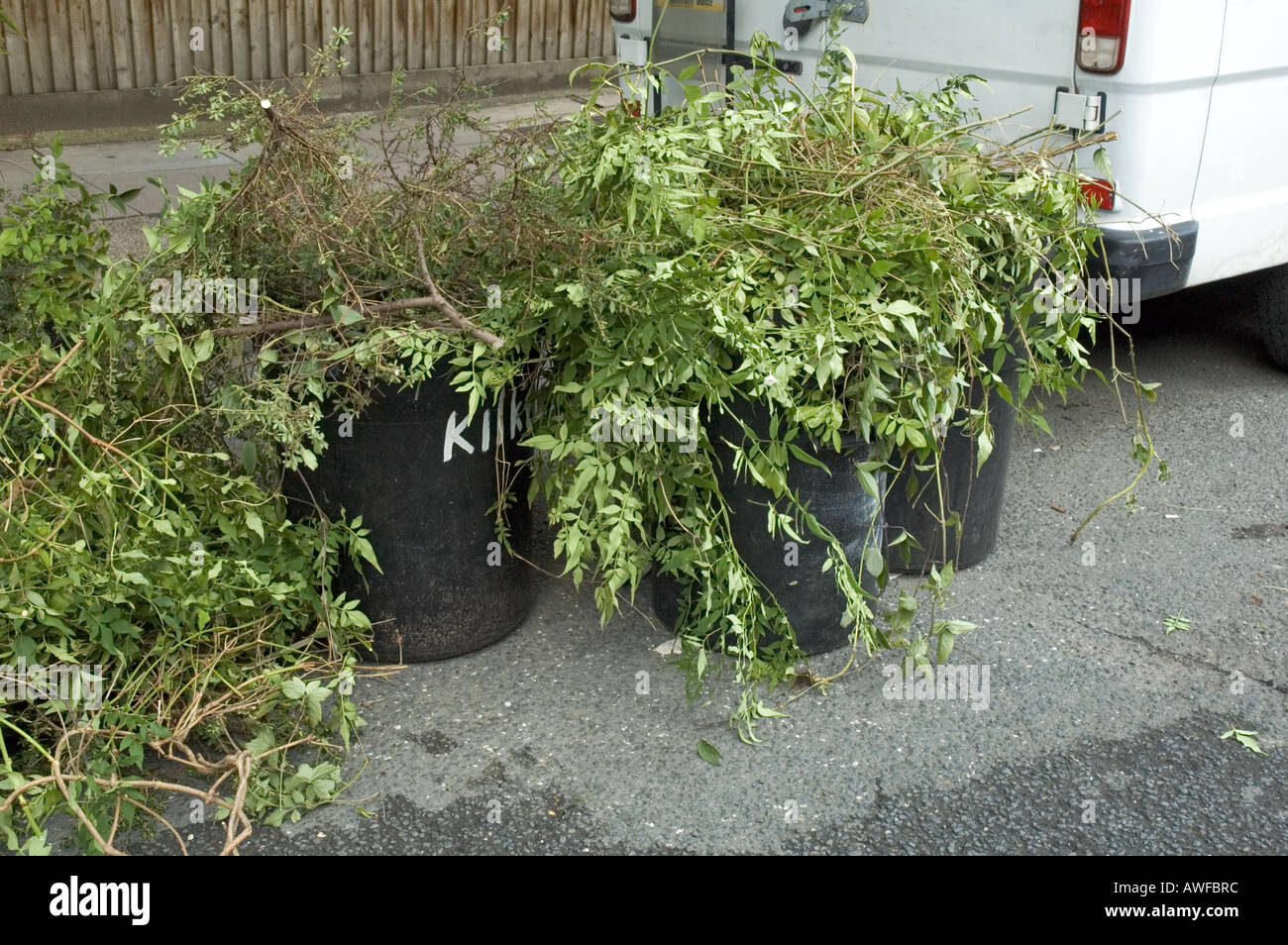 Garden waste in an Islington street London UK Stock Photo Alamy