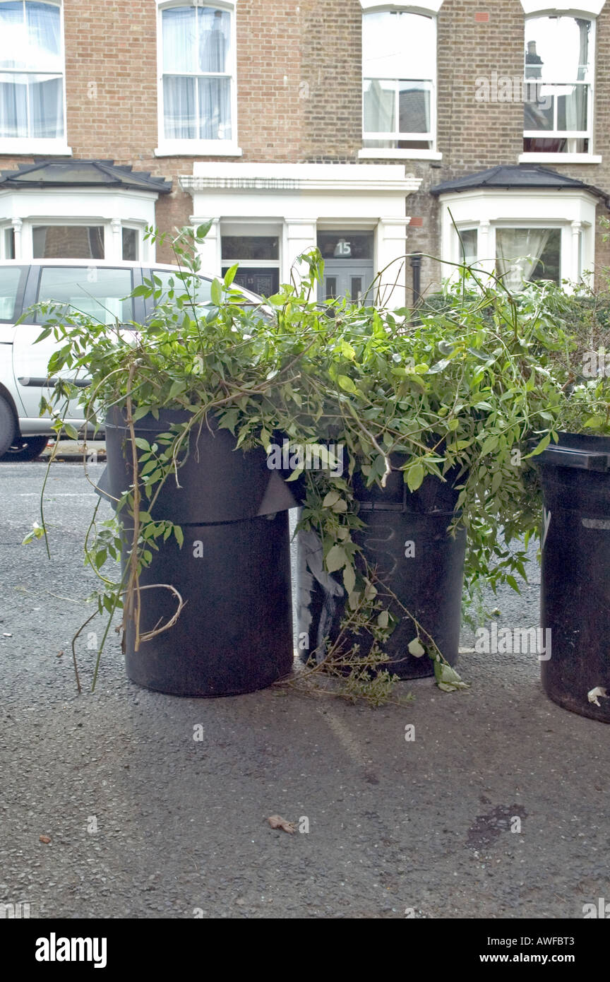 Garden waste in an Islington street London UK Stock Photo Alamy