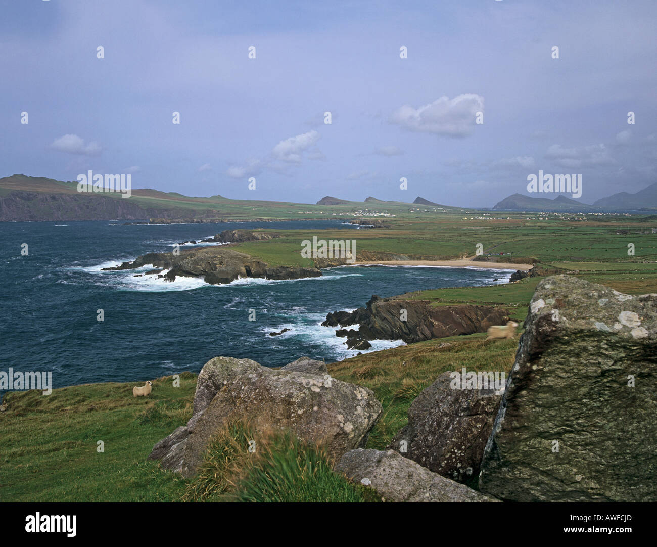 CLOGHER HEAD COUNTY KERRY REPUBLIC OF IRELAND EU September Looking down to the sandy beach and Ballyferriter Stock Photo
