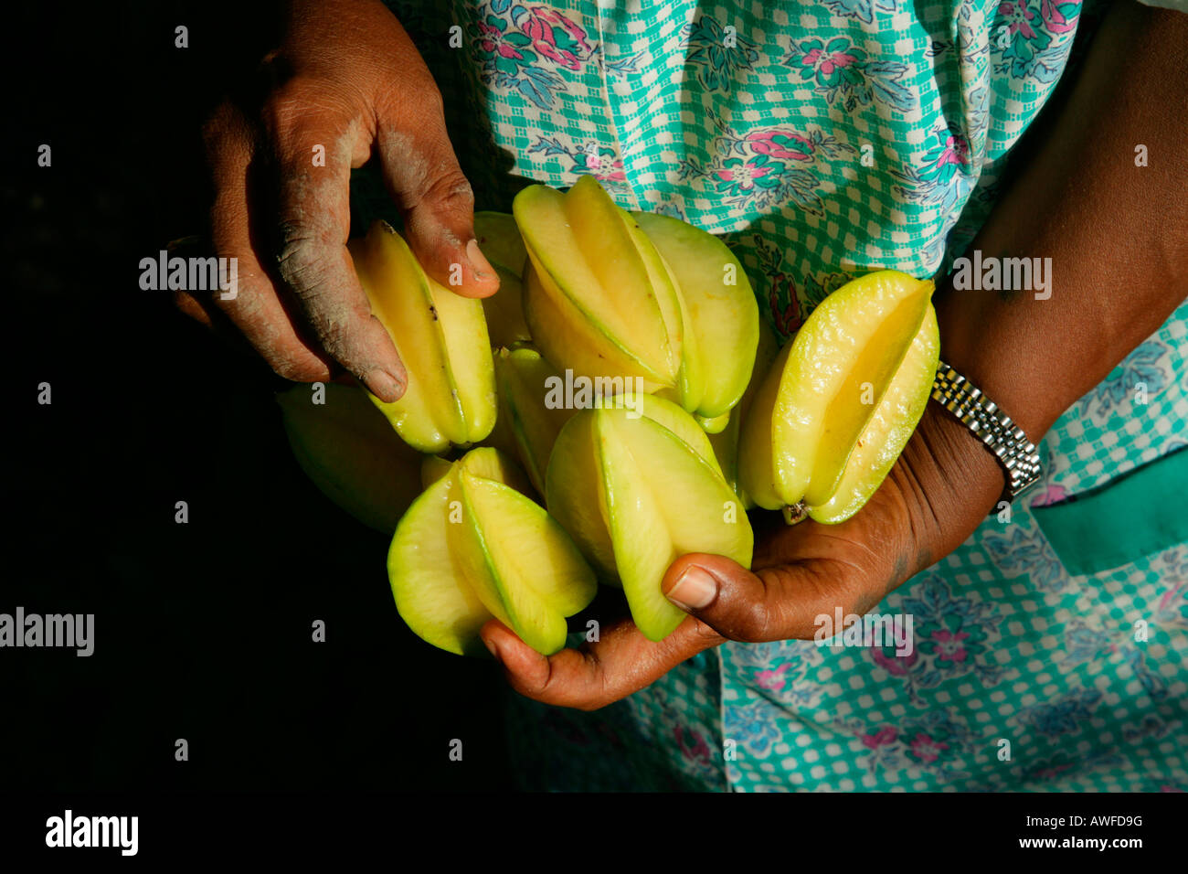 Hands holding starfruit (Averrhoa carambola), Georgetown, Guyana, South America Stock Photo