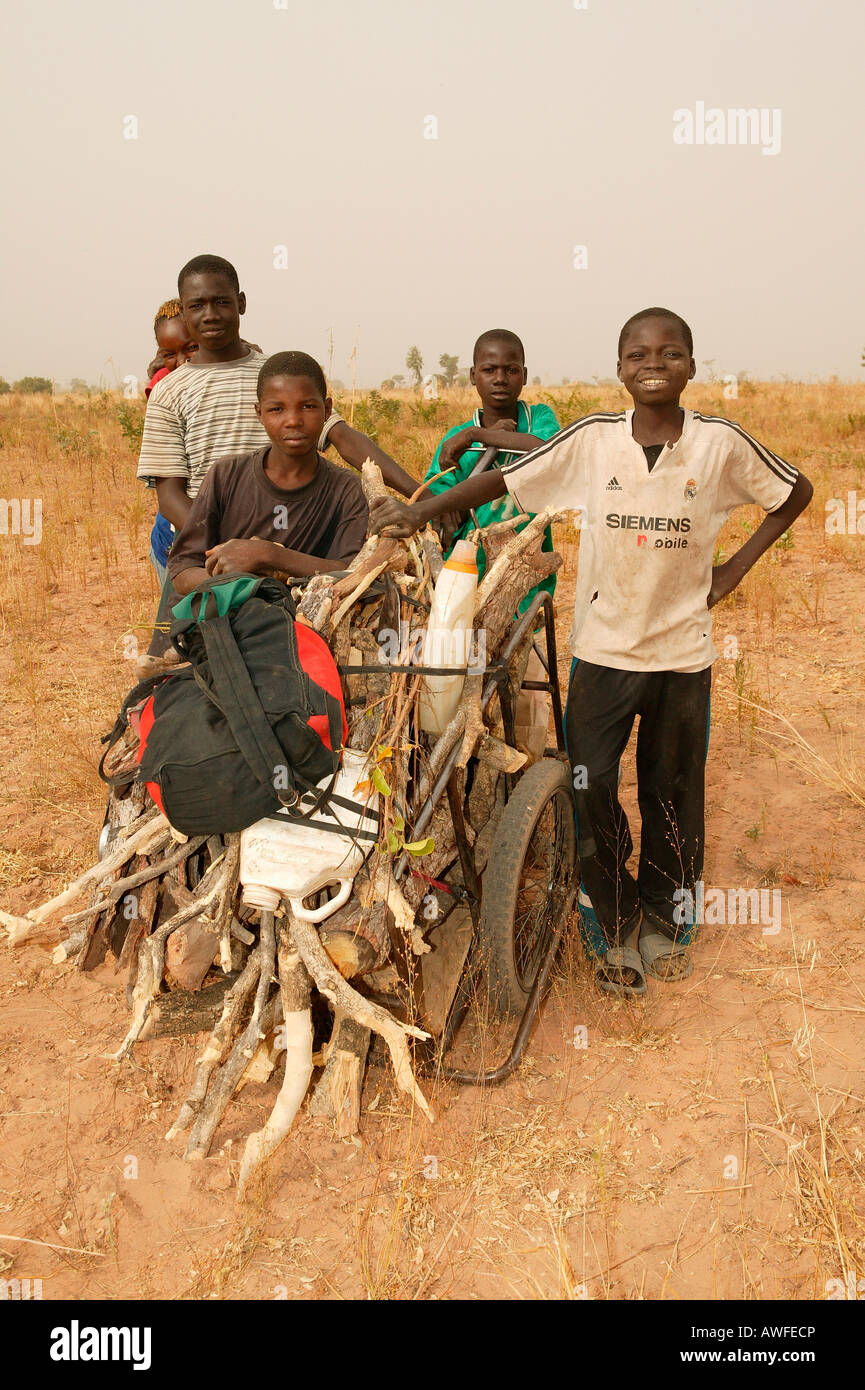 Boys gathering wood with a cart, Cameroon, Africa Stock Photo