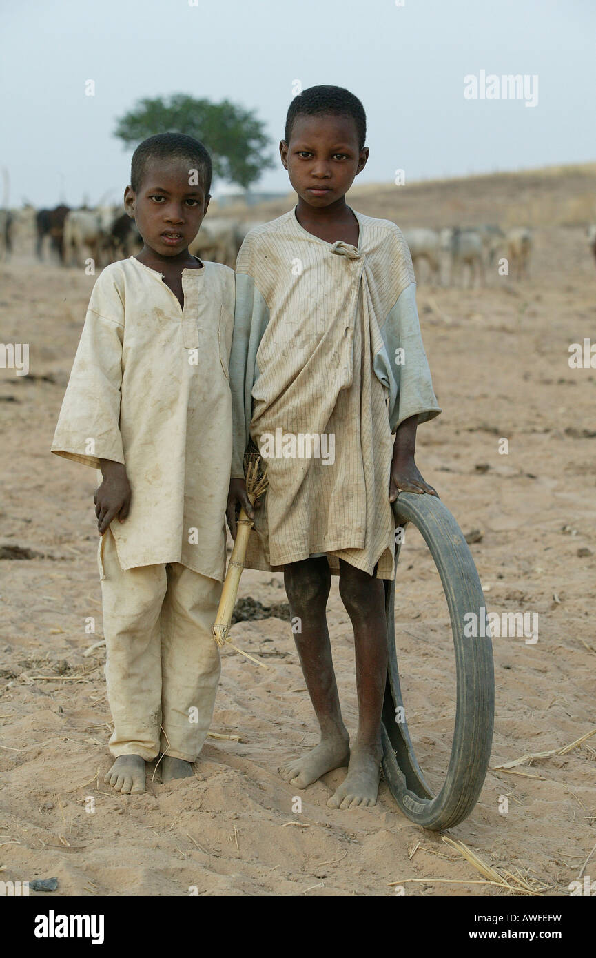 Two boys and an old tire in front of a herd of Zebus, Sahel region, Cameroon, Africa Stock Photo