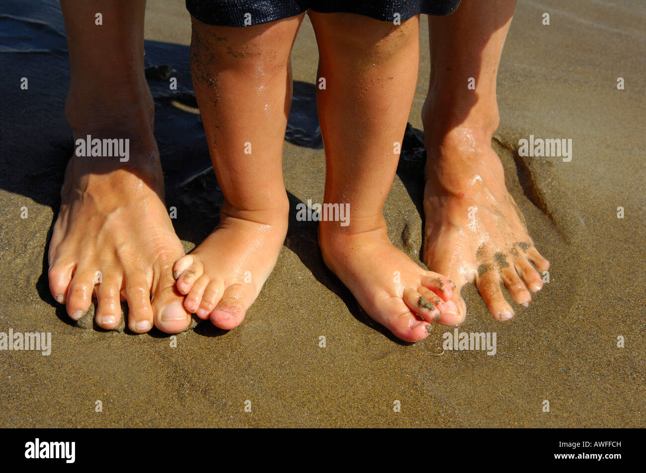 Adult and kids toes in the wet sand, Caorle, Veneto, Italy Stock Photo
