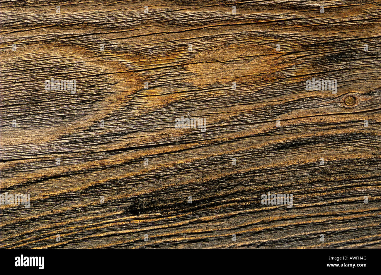 Weathered, cracked board, knotted wood Stock Photo