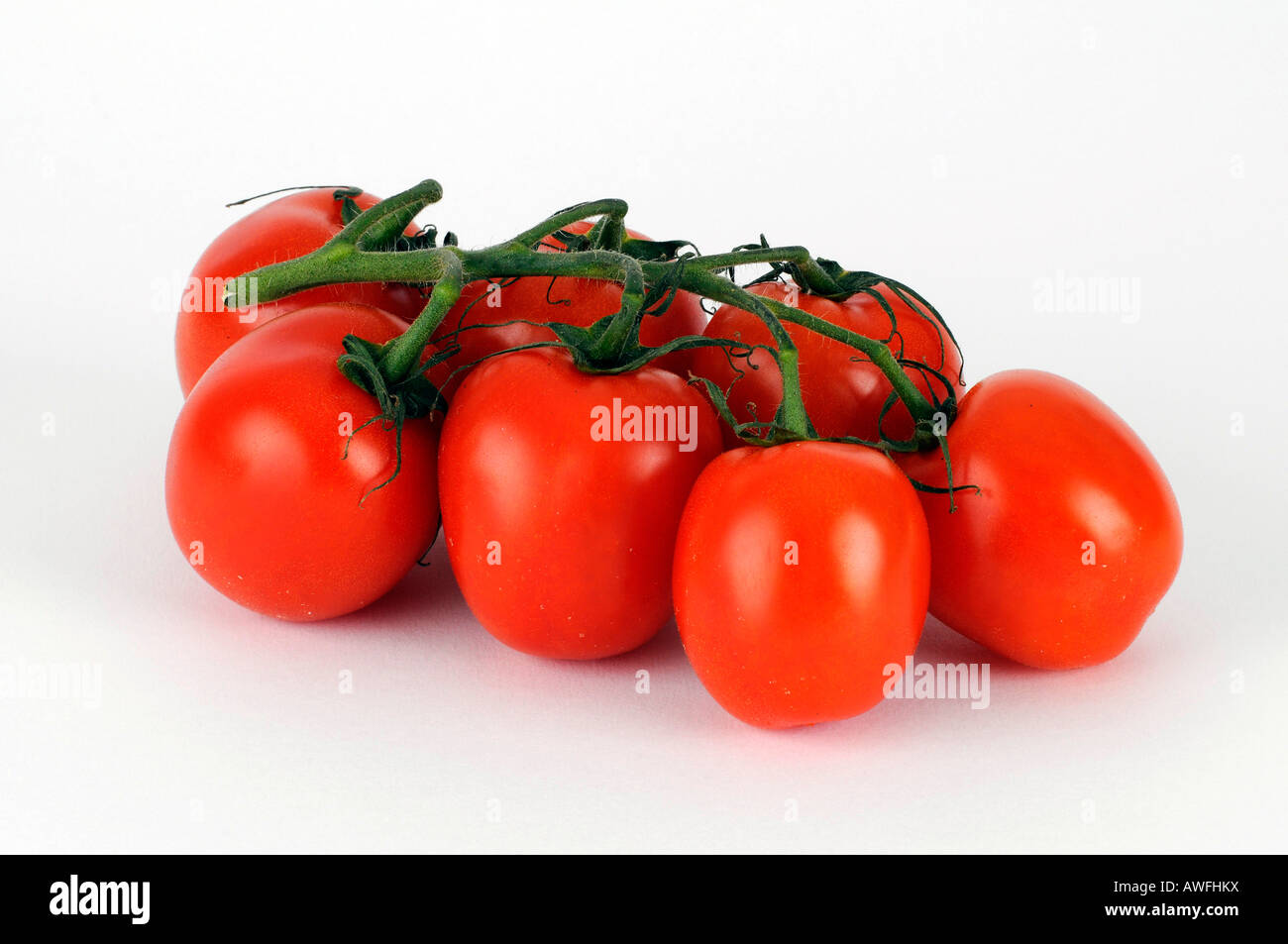 Truss of tomatoes Stock Photo - Alamy