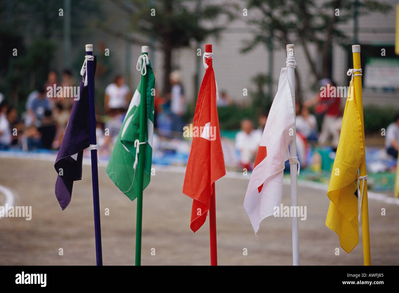 Flags at school sports day Stock Photo Alamy