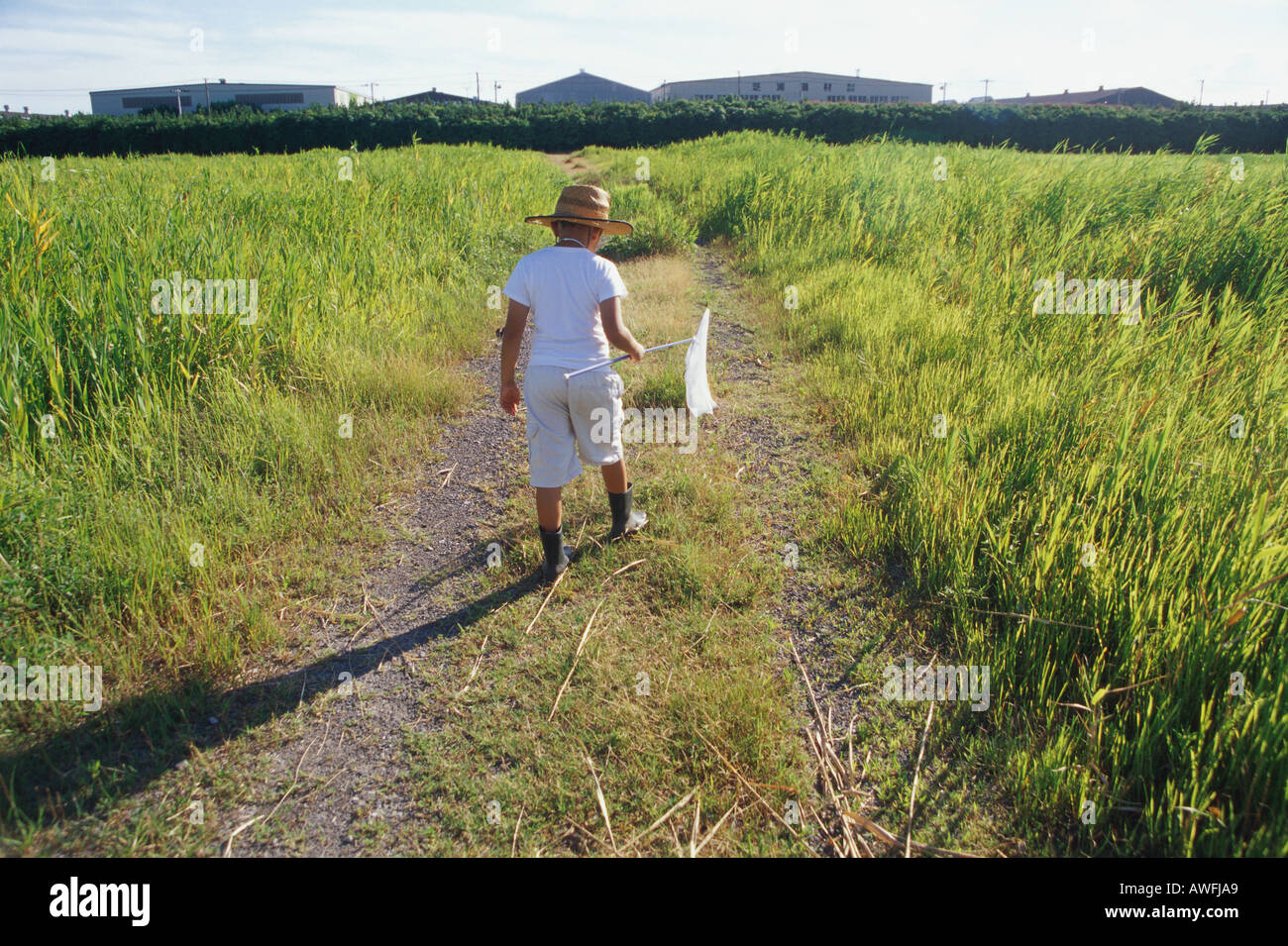 Child searching for insects hi-res stock photography and images - Alamy