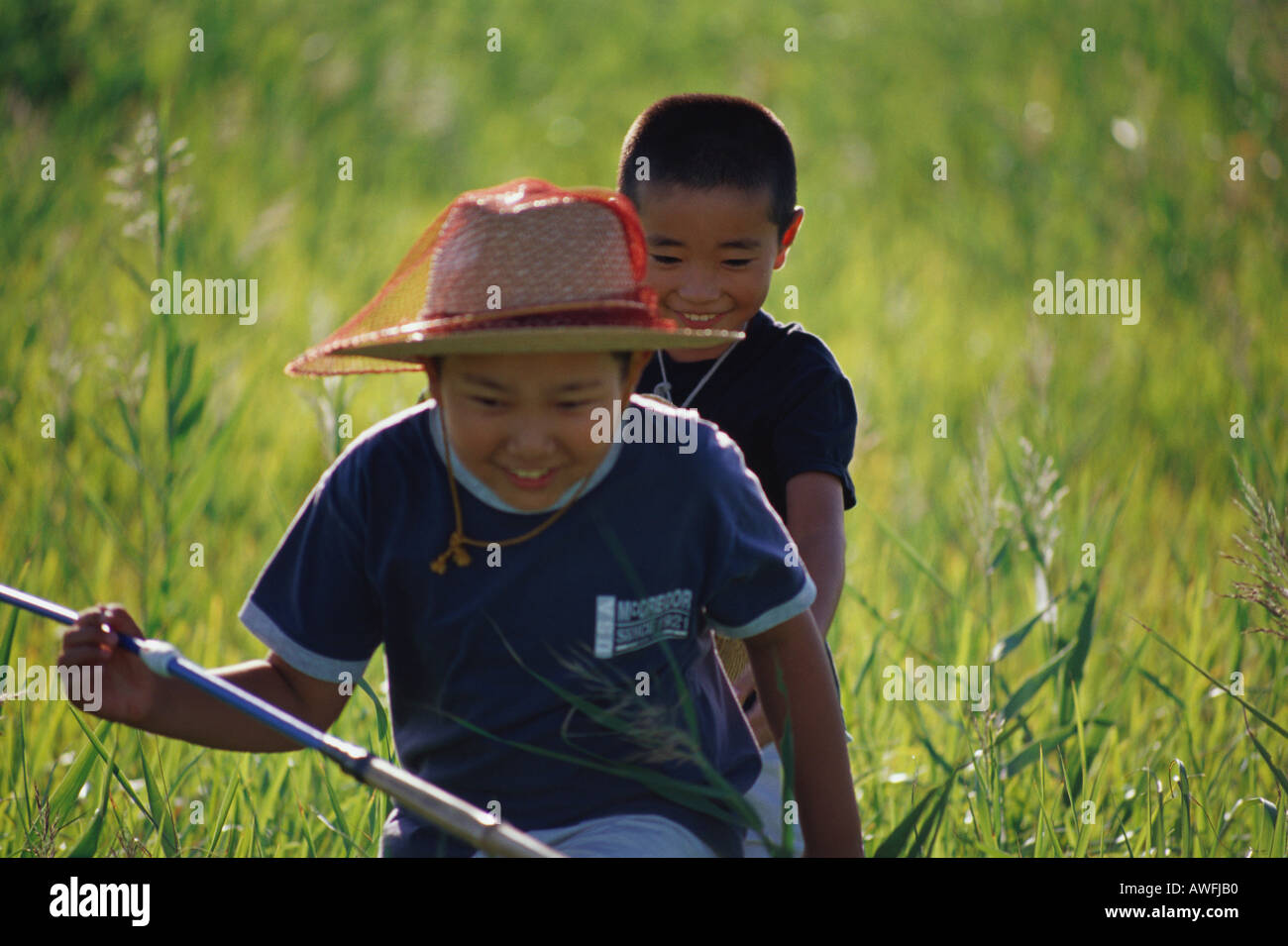 Catching insects children hi-res stock photography and images - Alamy