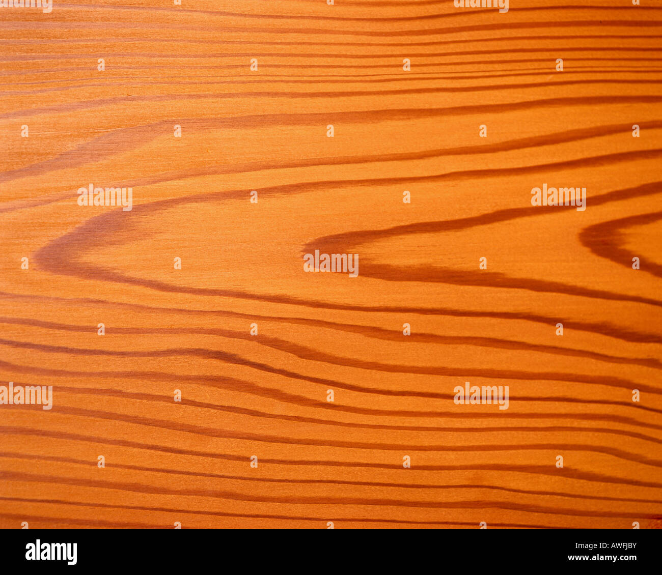 Wood larch hires stock photography and images Alamy