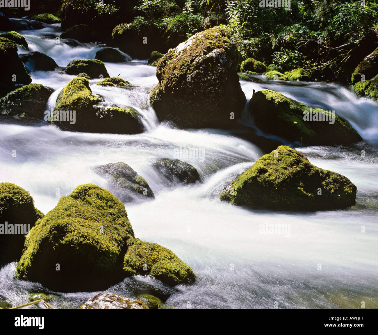 Small waterfall in a mountain stream with moss-covered rocks, movement Stock Photo