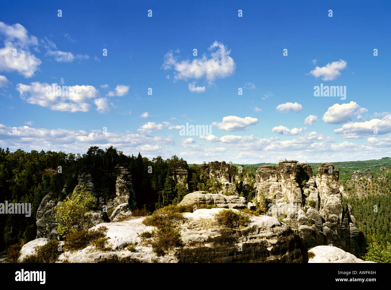 Rock formations in the Elbe Sandstone Mountains (German: Elbsandsteingebirge) also known as Saxon Switzerland, Saxony, Germany, Stock Photo