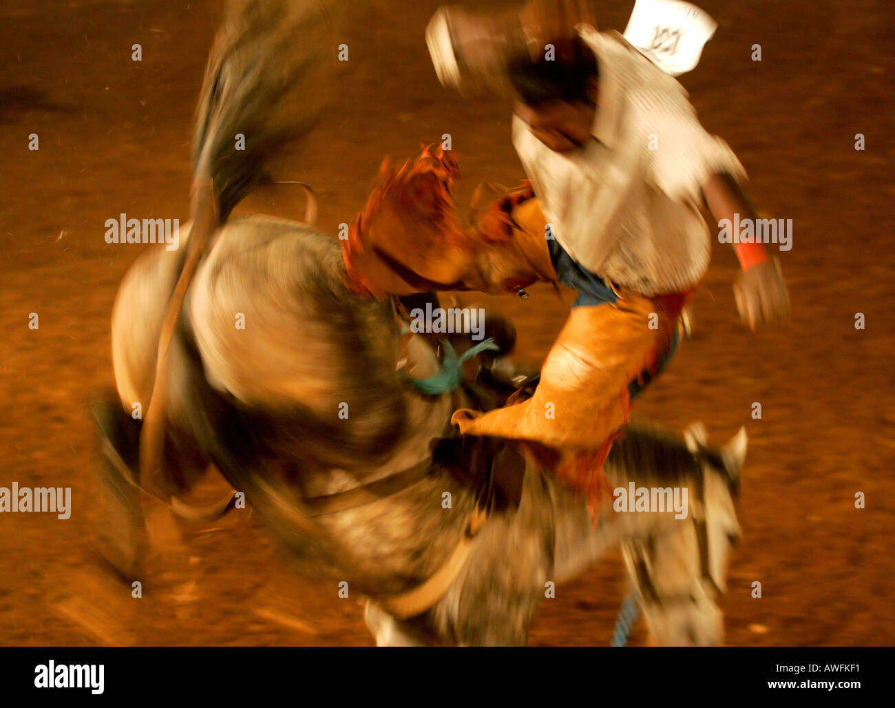 Bronc riding hi-res stock photography and images - Alamy