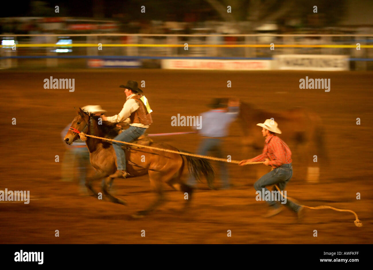 Wild horse race at Mt Isa rodeo Stock Photo - Alamy