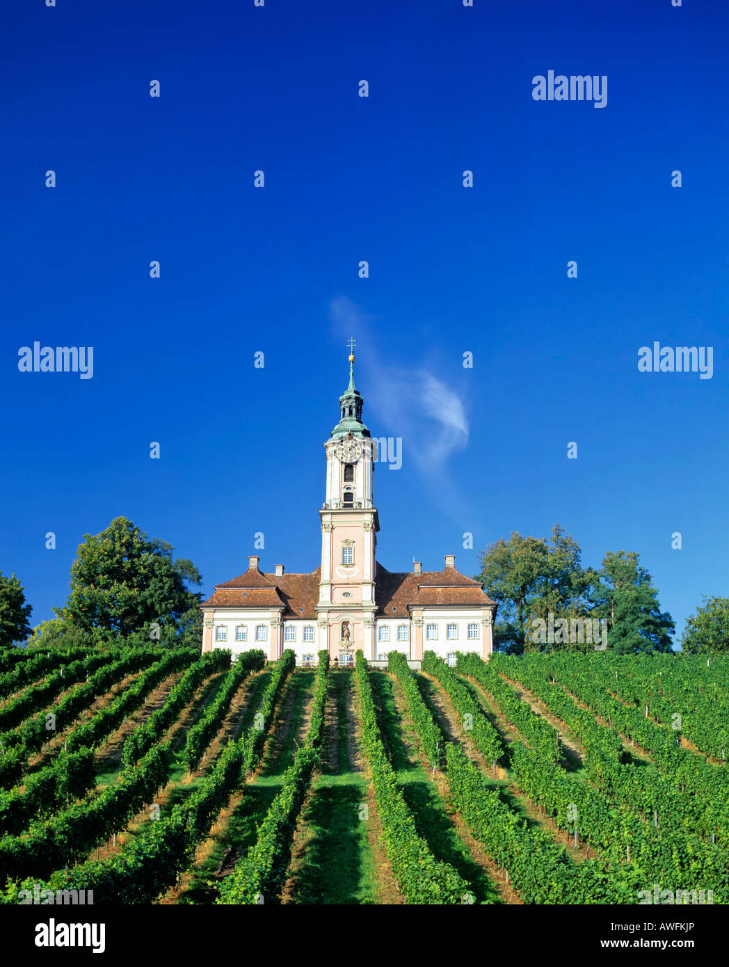 Vineyards surrounding St. Maria Baroque pilgrimage church, Birnau am Bodensee, Baden-Wuerttemberg, Germany, Europe Stock Photo