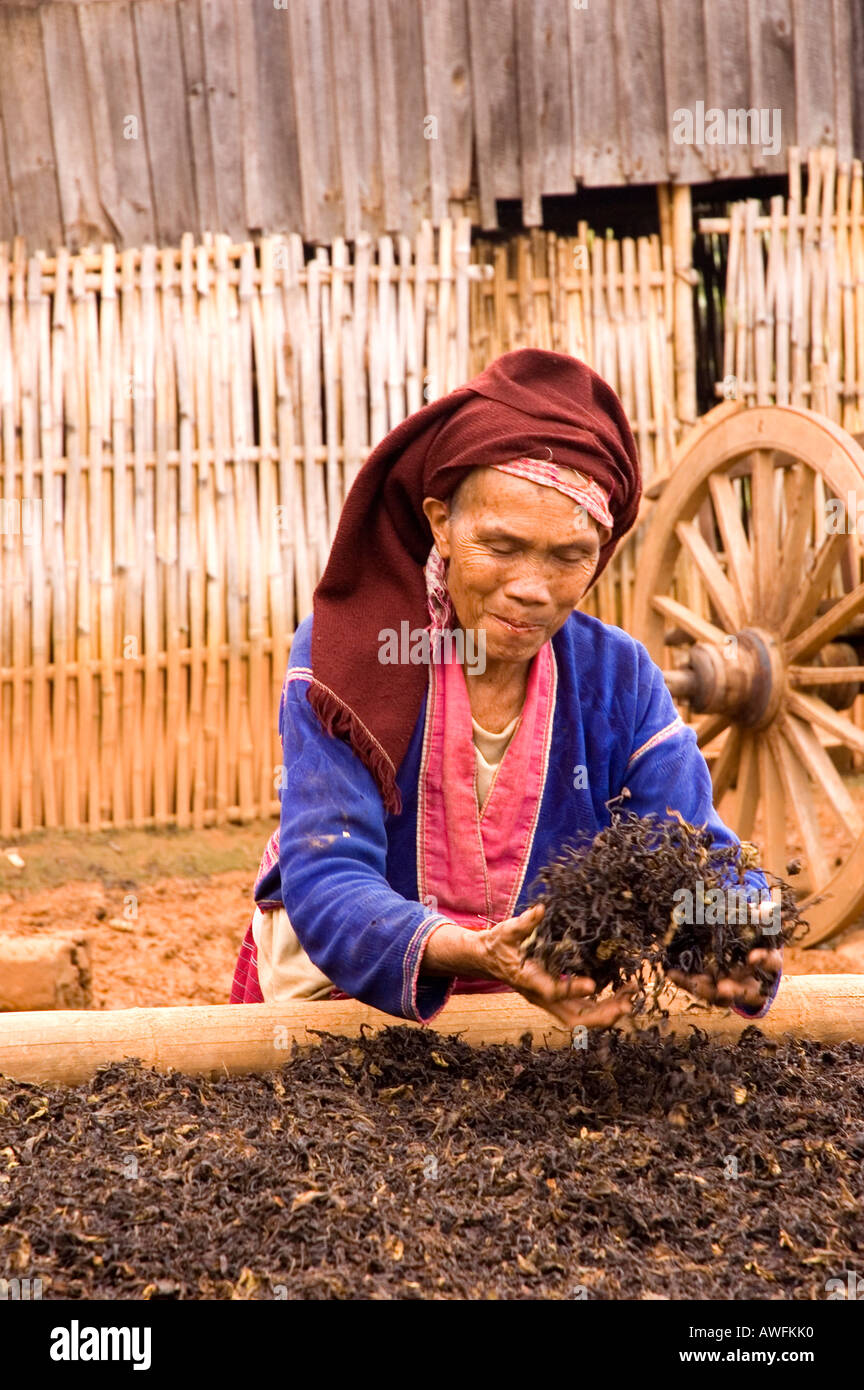 Stock photograph of an old woman of the Palaung hill tribe at Yar Thait village near Kalaw in Myanmar Stock Photo
