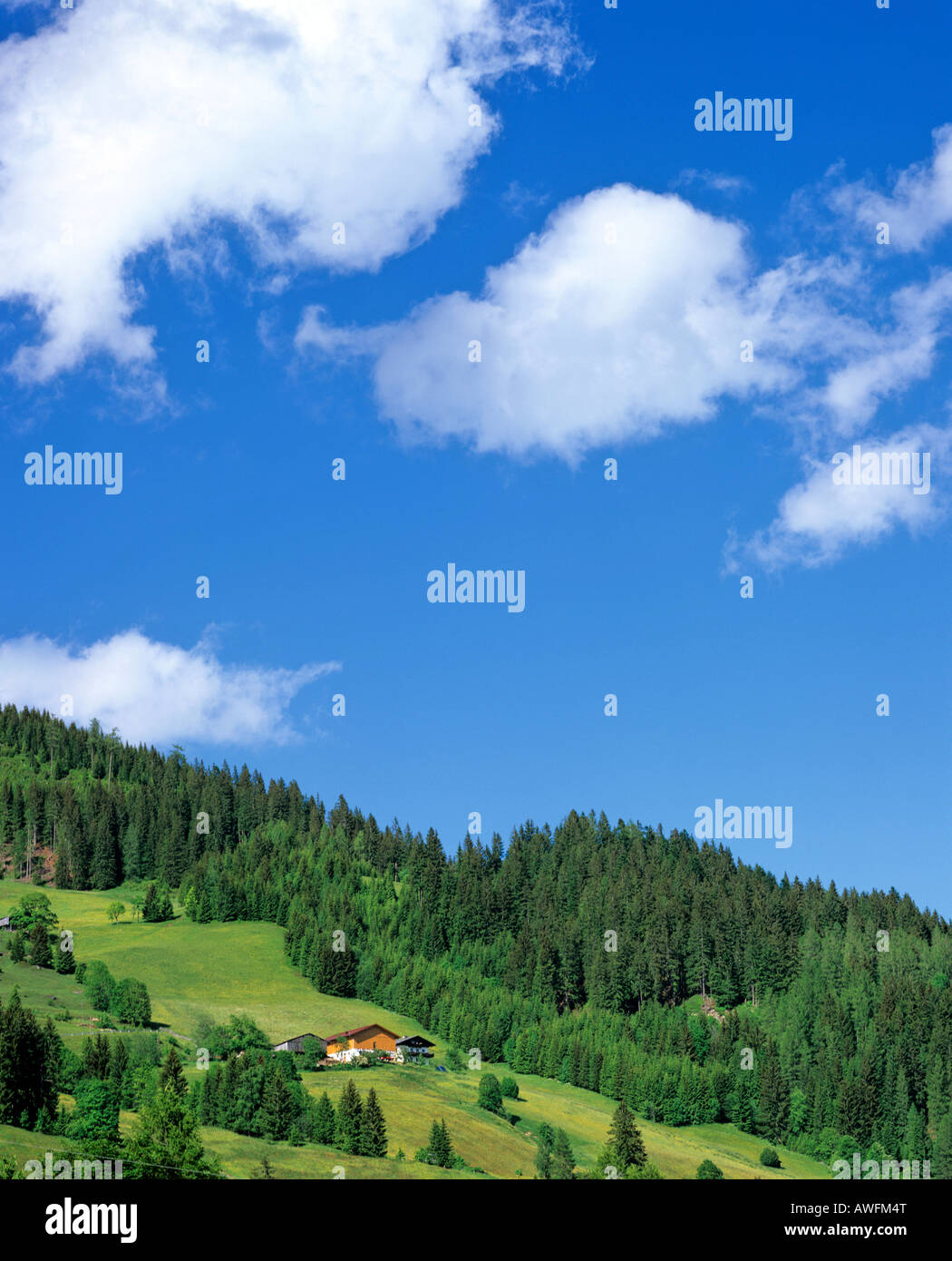 Alpine farm and forests under a blue sky, Salzburger Land, Austria, Europe Stock Photo