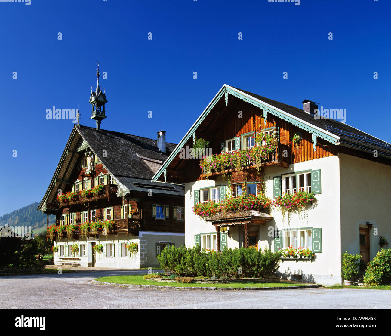 Farmhouses, Salzburger Land, Austria, Europe Stock Photo