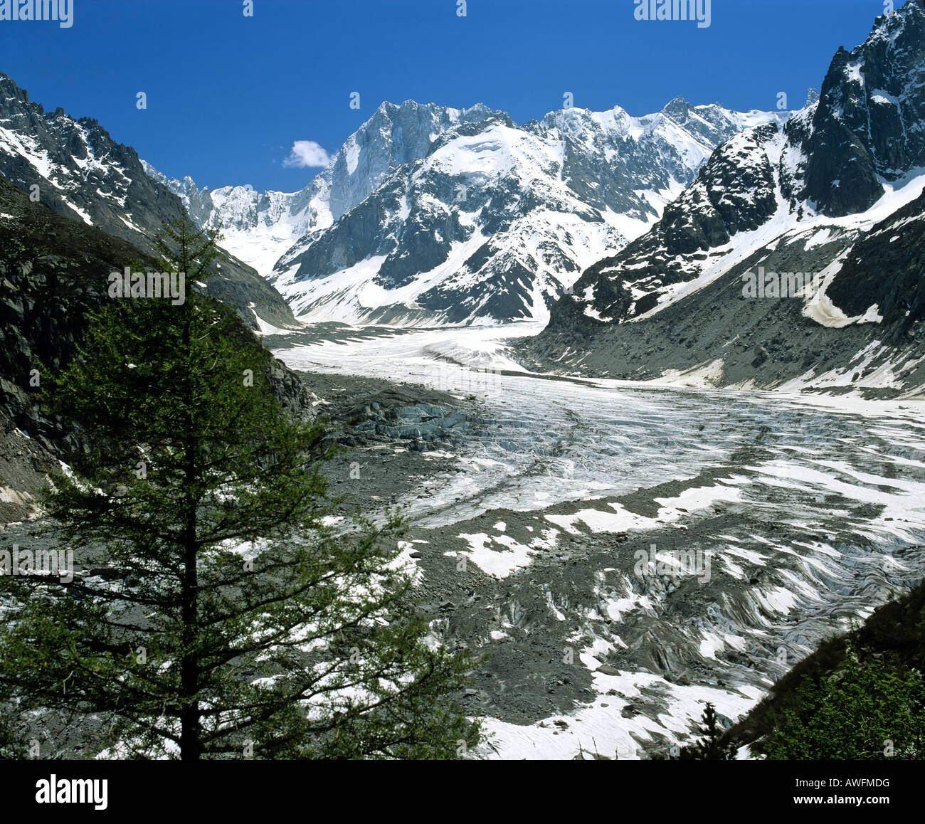 Mer de Glace Glacier viewed from Montenvers Lookout, Grand Jorasses, Savoy Alps, France, Europe Stock Photo