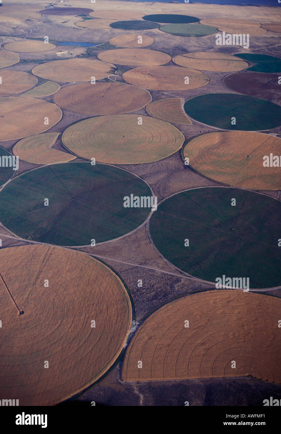 Crop circles, eastern Washington near the Columbia River Stock Photo