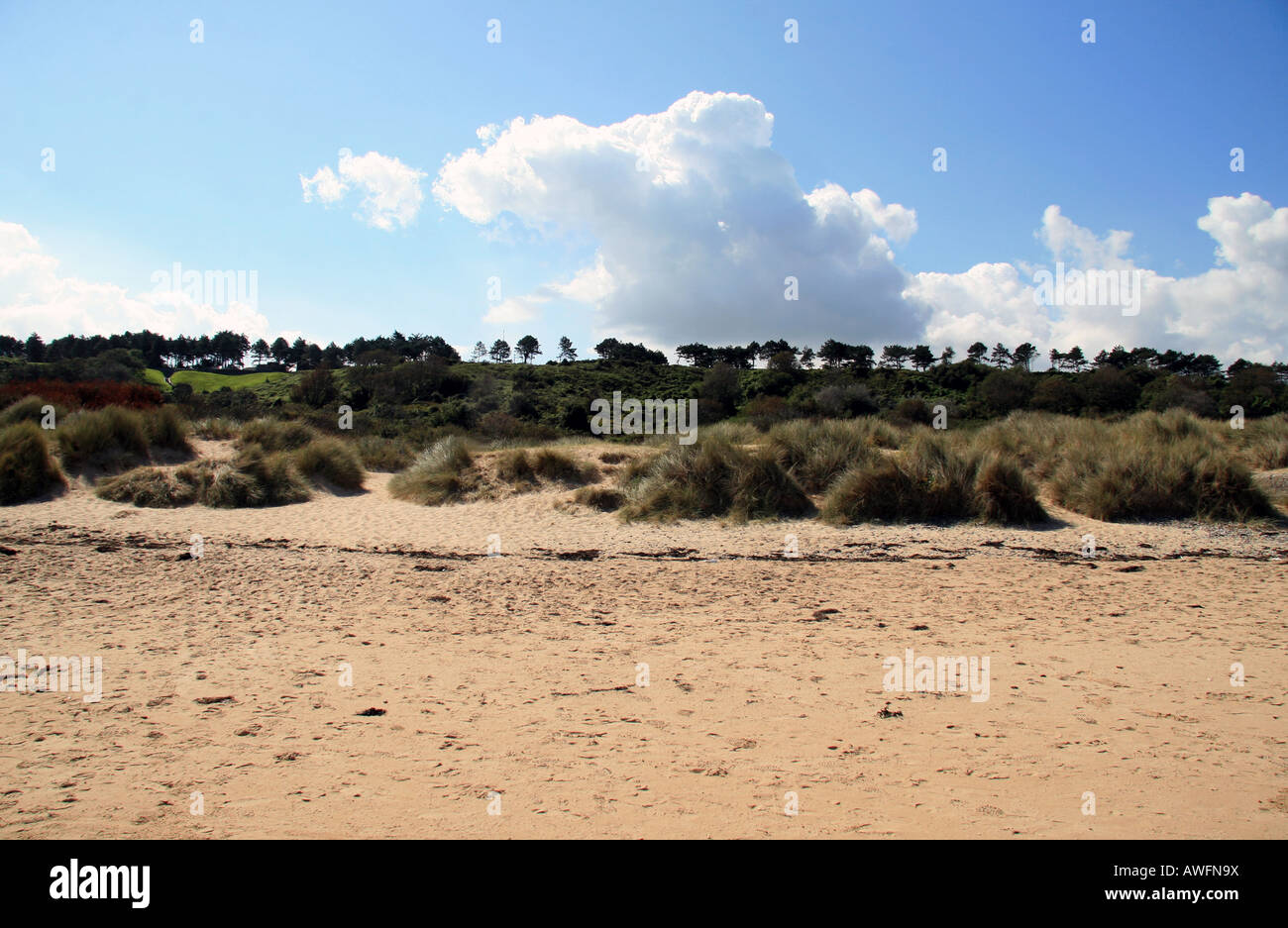 Looking Towards The Bluff At Omaha Beach Normandy Close To