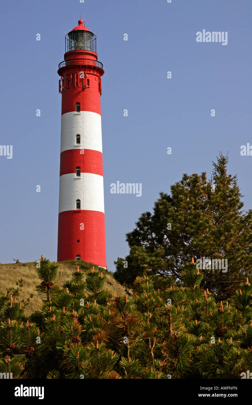 Lighthouse - Kniepsand, Wittduen, Island Amrum, North Friesland, Schleswig-Holstein, North Sea, Wadden Sea, Germany, Europe Stock Photo