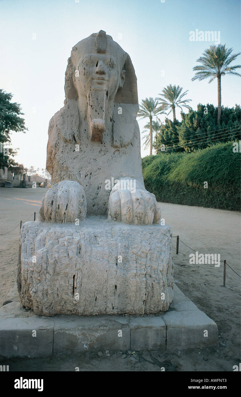 Alabaster Sphinx Memphis near Cairo Egypt Stock Photo
