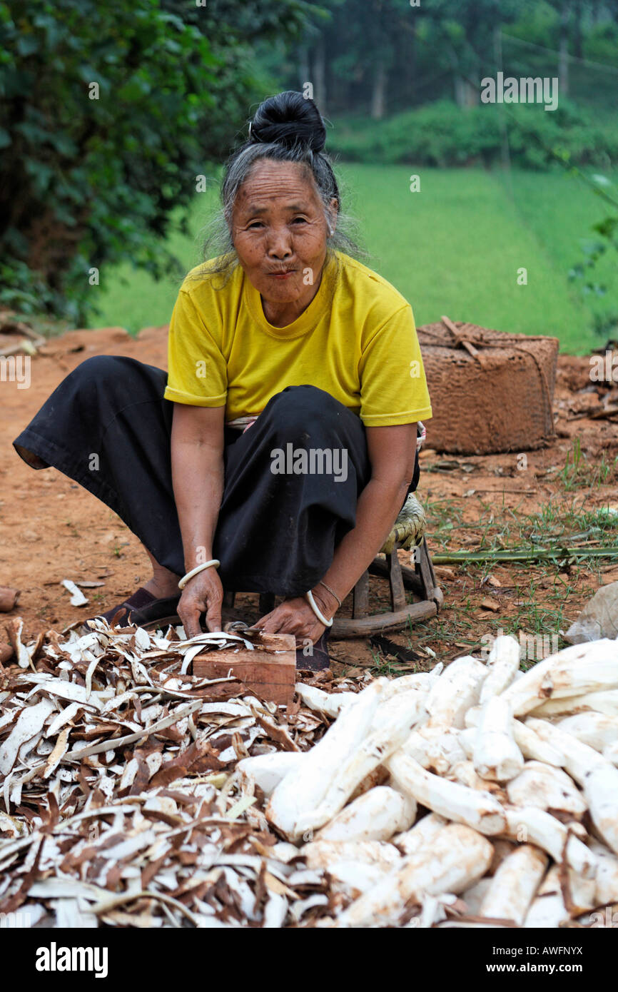 Woman peeling cassava roots, mountain village Chien Koi, Son La Province, Vietnam, Asia Stock Photo