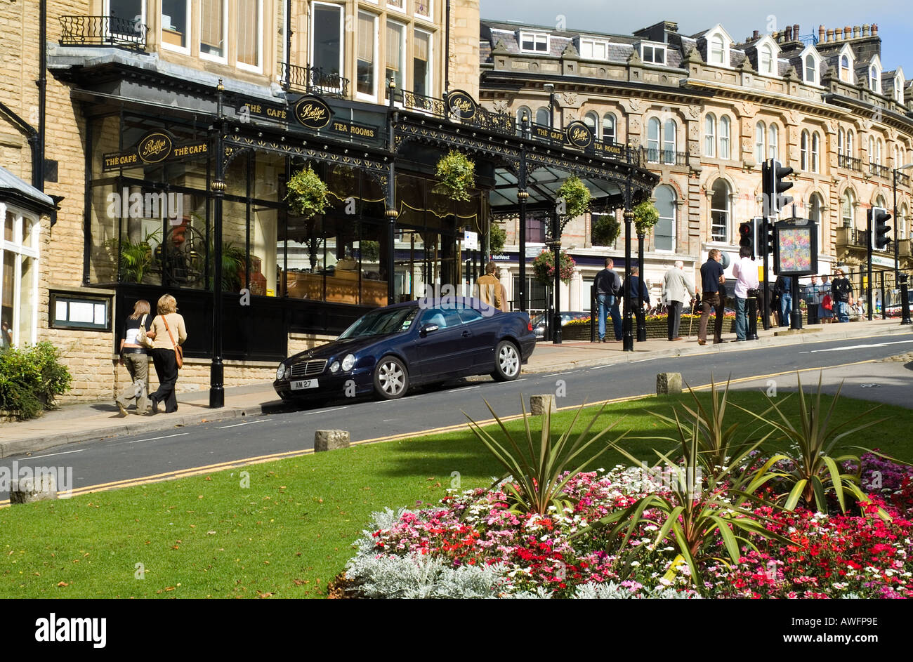dh HARROGATE NORTH YORKSHIRE Bettys coffee shop cafe Flora display