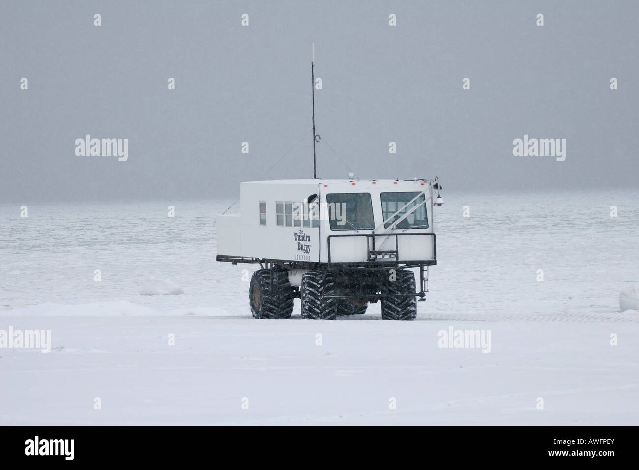Tundra Buggy No 1 with polar bear webcam aboard, Churchill, Manitoba, Canada Stock Photo