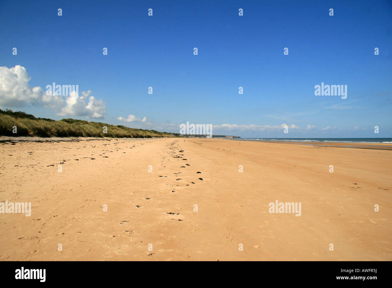 Looking West Along Omaha Beach Normandy Close To Colleville