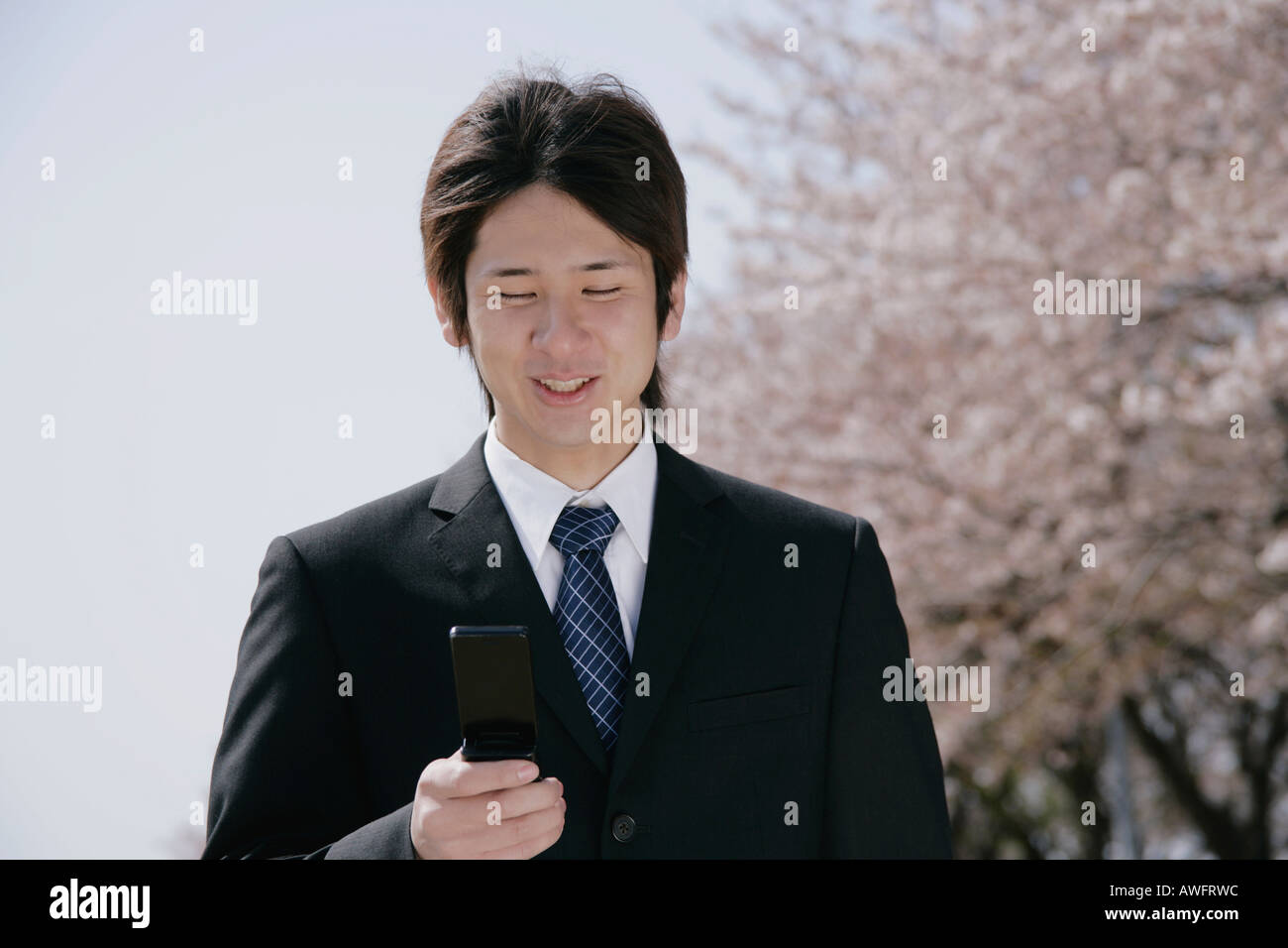 A young man in suit looking at mobile phone Stock Photo