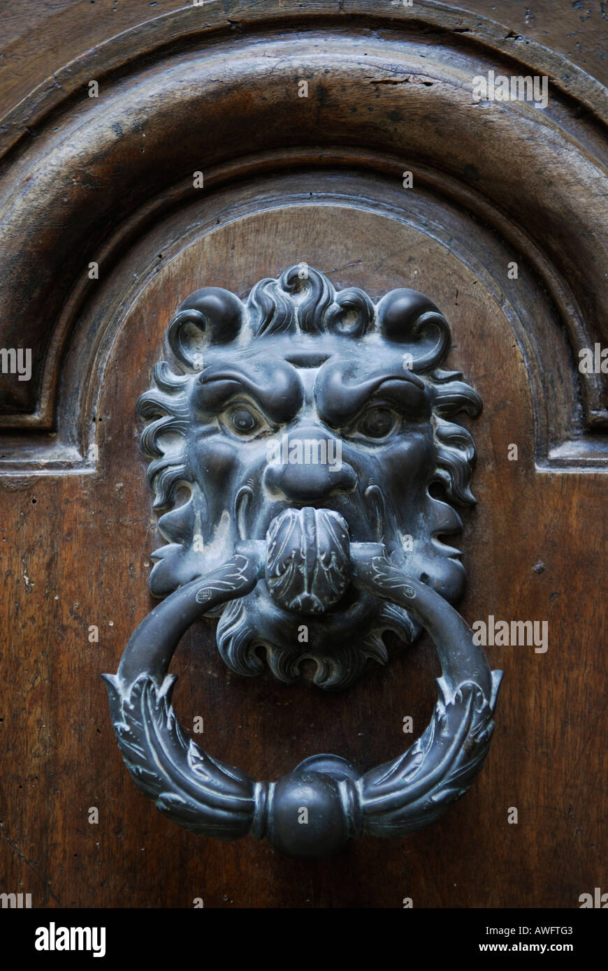 old-fashioned metal door knocker in the shape of a lion s head Stock ...