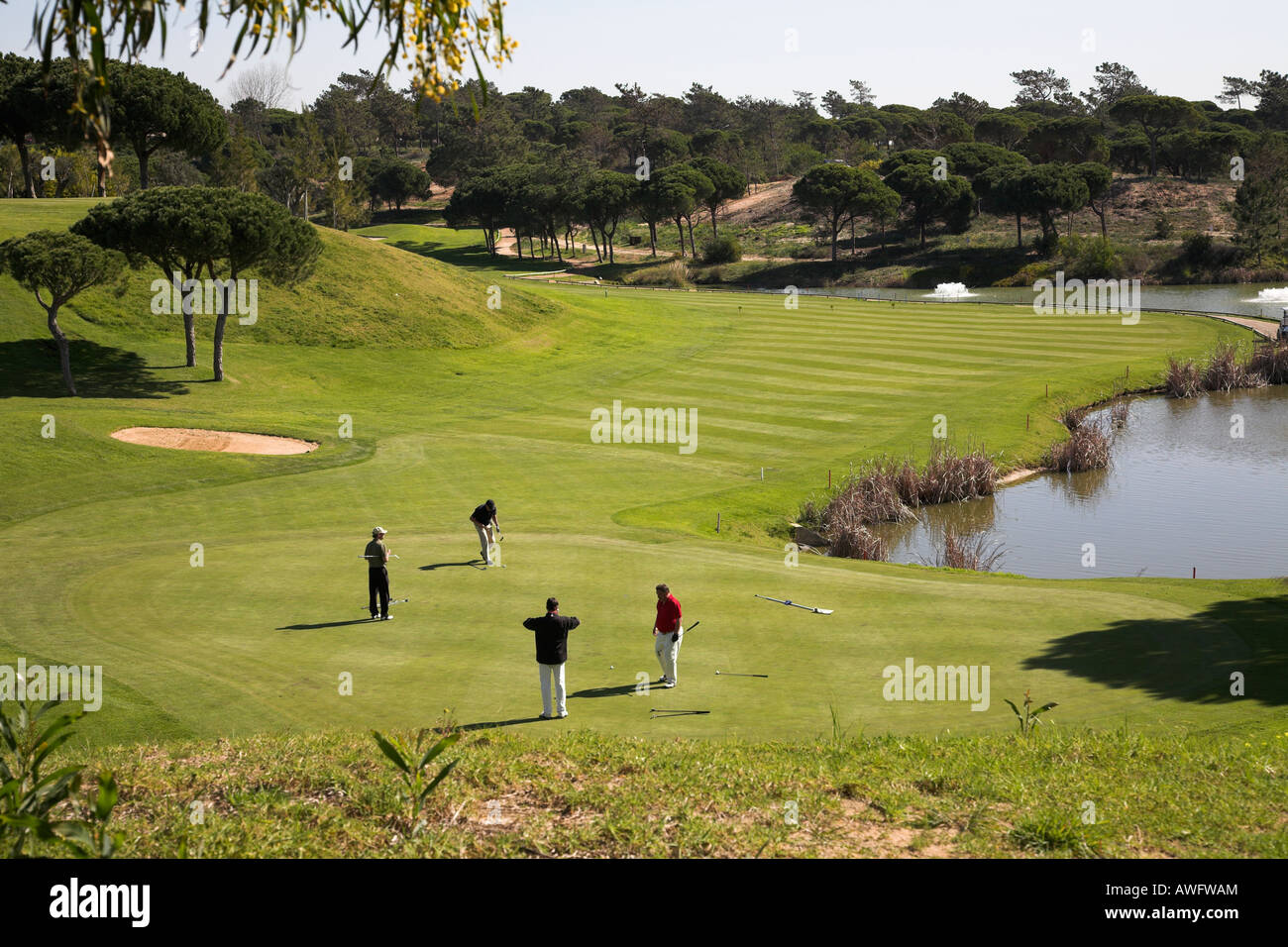 Four golf players on the green. Stock Photo