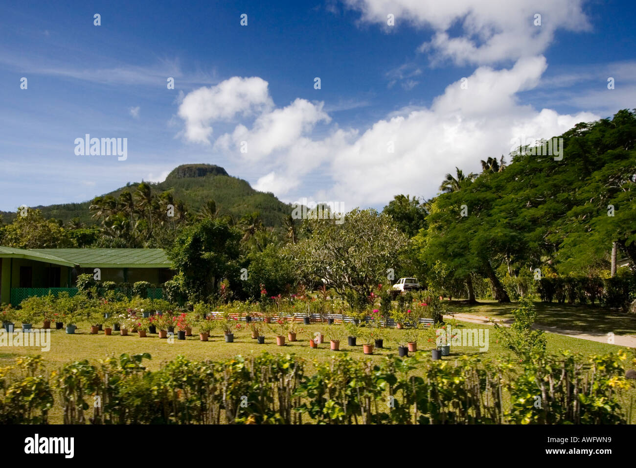 Local Rarotonga Local Garden, Rarotonga, Cook Islands Stock Photo - Alamy