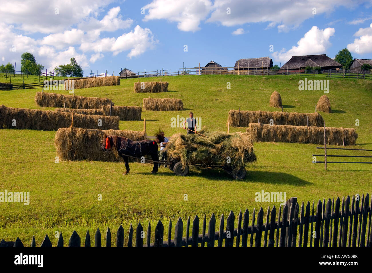 Europe Romania Moldavia Bucovina Hay Making Hay Harvest Stock Photo Alamy