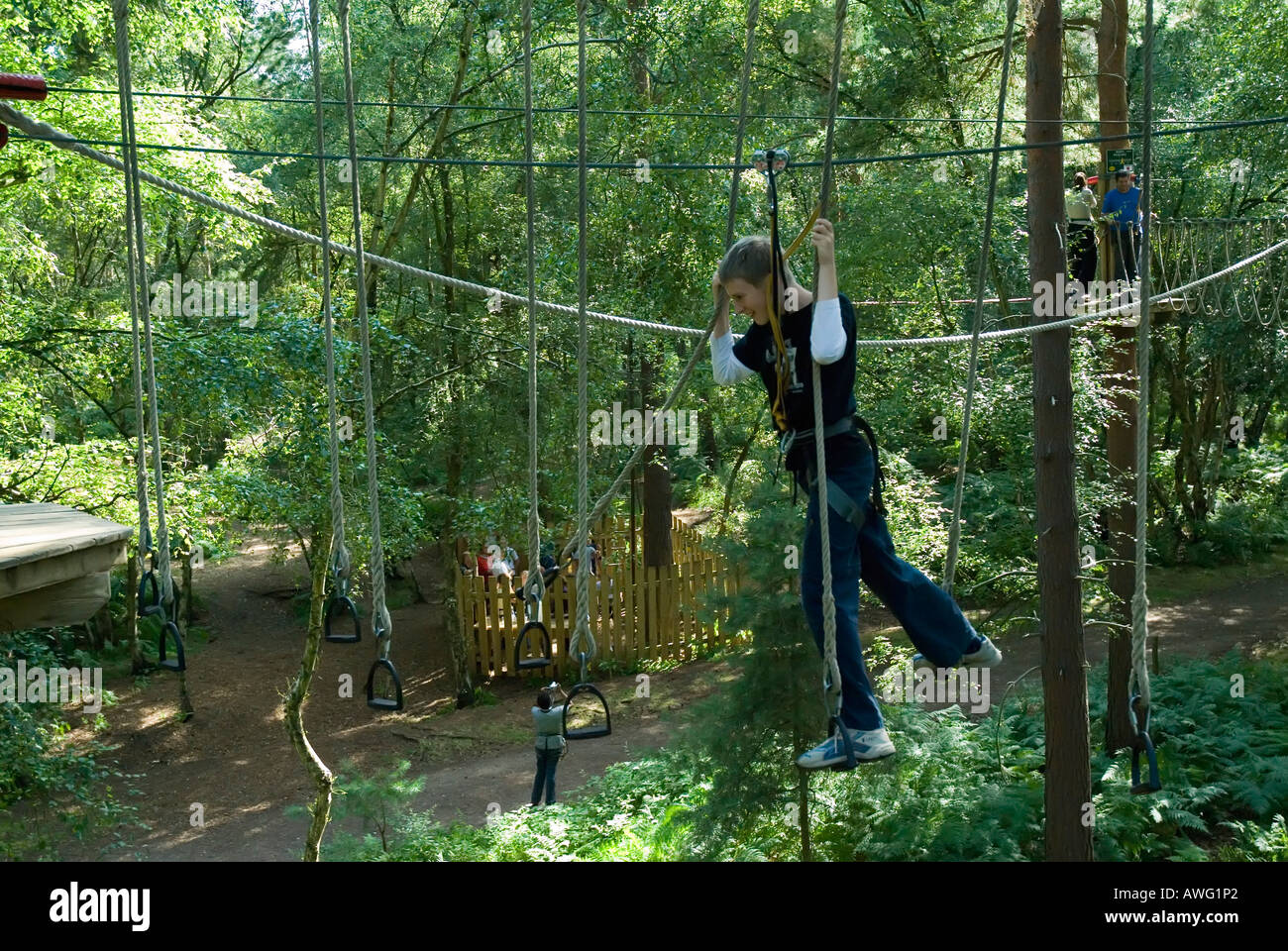 Boys Enjoying Go Ape High Wire Forest Adventure Course Swinley Forest Stock Photo Alamy Boys Enjoying Go Ape High Wire Forest Adventure Course Swinley Forest Stock Photo Alamy