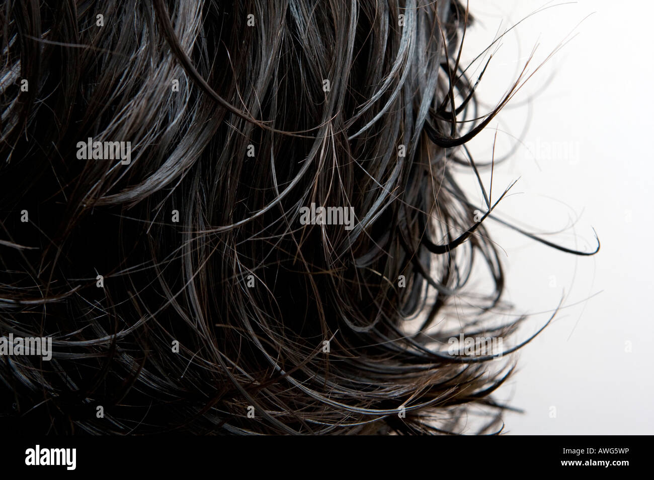 Damp hair hi-res stock photography and images - Alamy