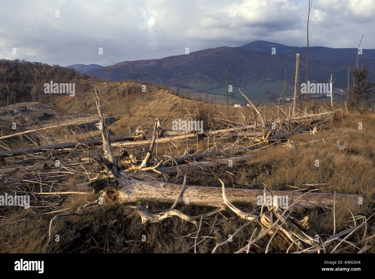 Trees killed by alkaline pollution from the magnesite factory at Lubenik in central Slovakia Stock Photo